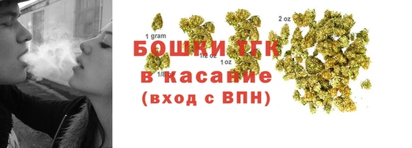 стаф Арсеньев