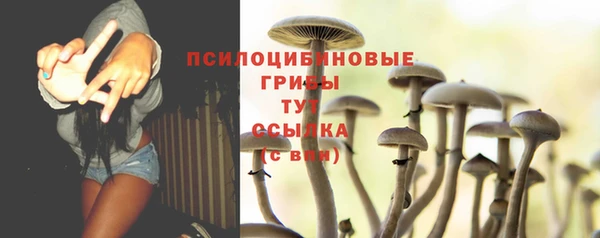 прущий лед Армянск