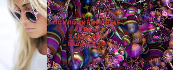 молекула духа Аркадак