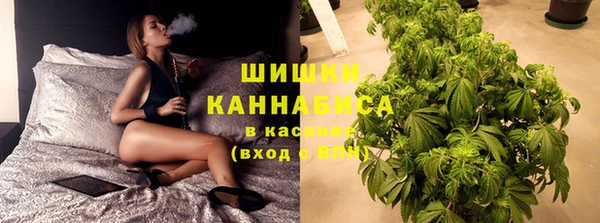 молекула духа Аркадак