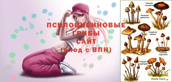 молекула духа Аркадак